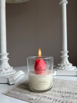 Lueur Tulip 'Bergamot Kokulu Dekoratif Lale Soya Mumu'